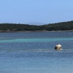 Sardinien 2026